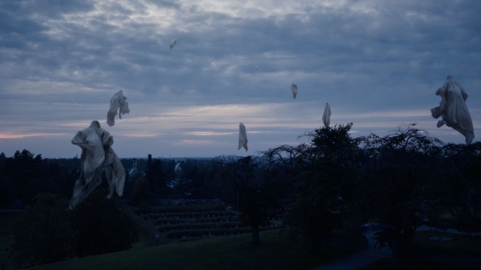 a group of birds flying over a lush green field