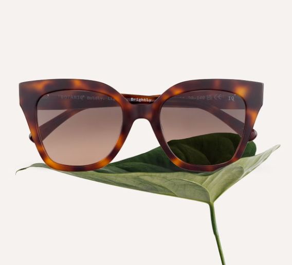 a pair of sunglasses sitting on top of a green leaf