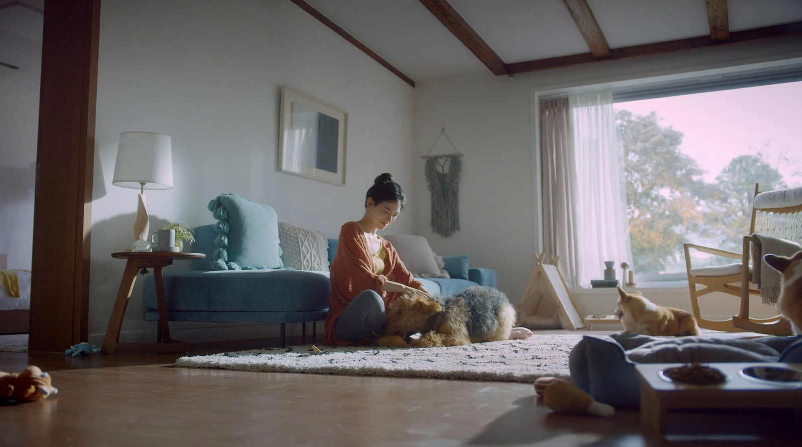 a woman sitting on a couch with two dogs