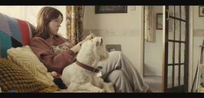 a woman sitting on a couch petting a dog