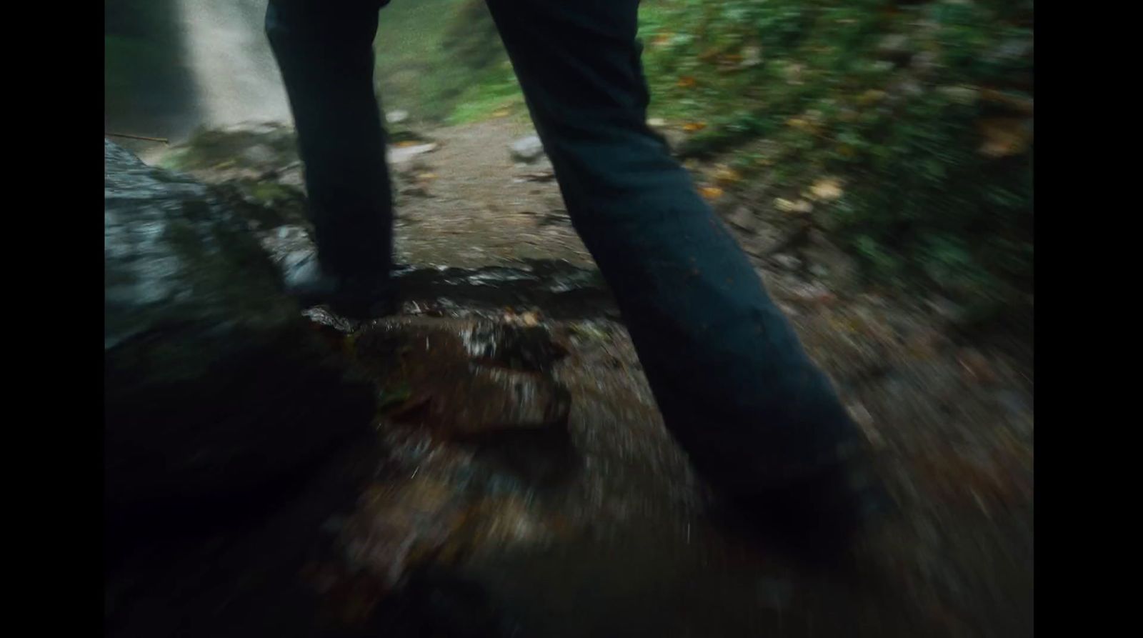 a person walking on a path in the woods