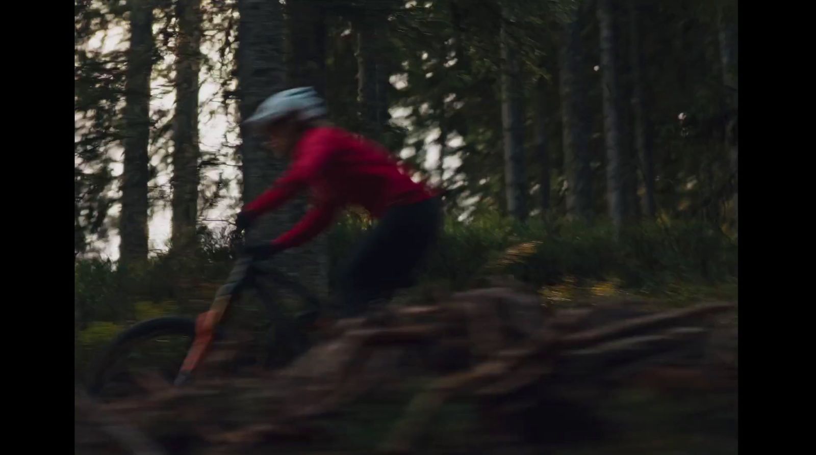 a person riding a bike in the woods