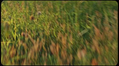 a blurry photo of a field of grass