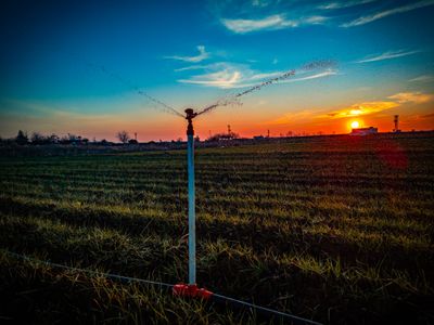 the sun is setting over a field of grass