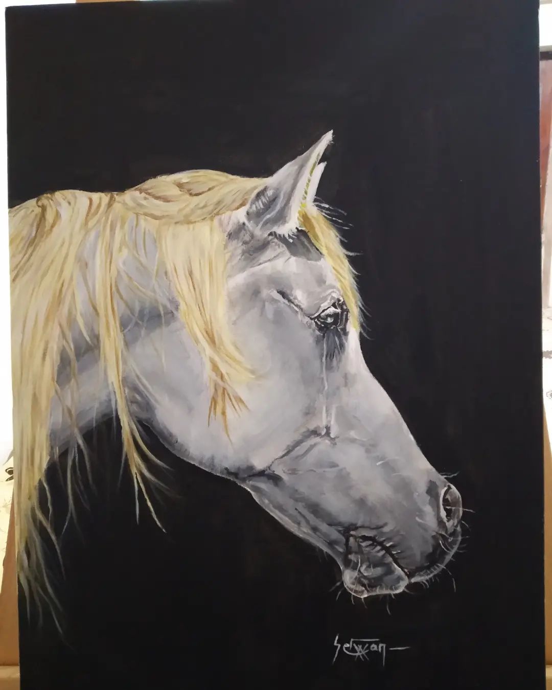 a painting of a white horse on a black background