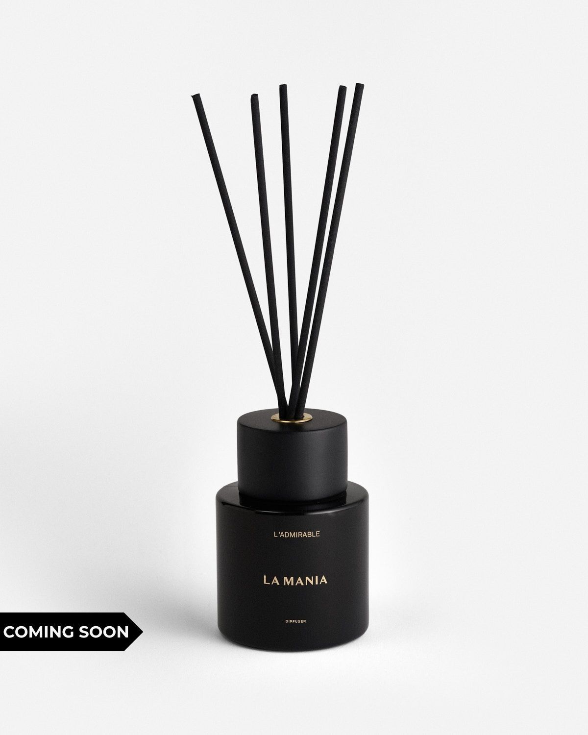 a black bottle with a black reed in it