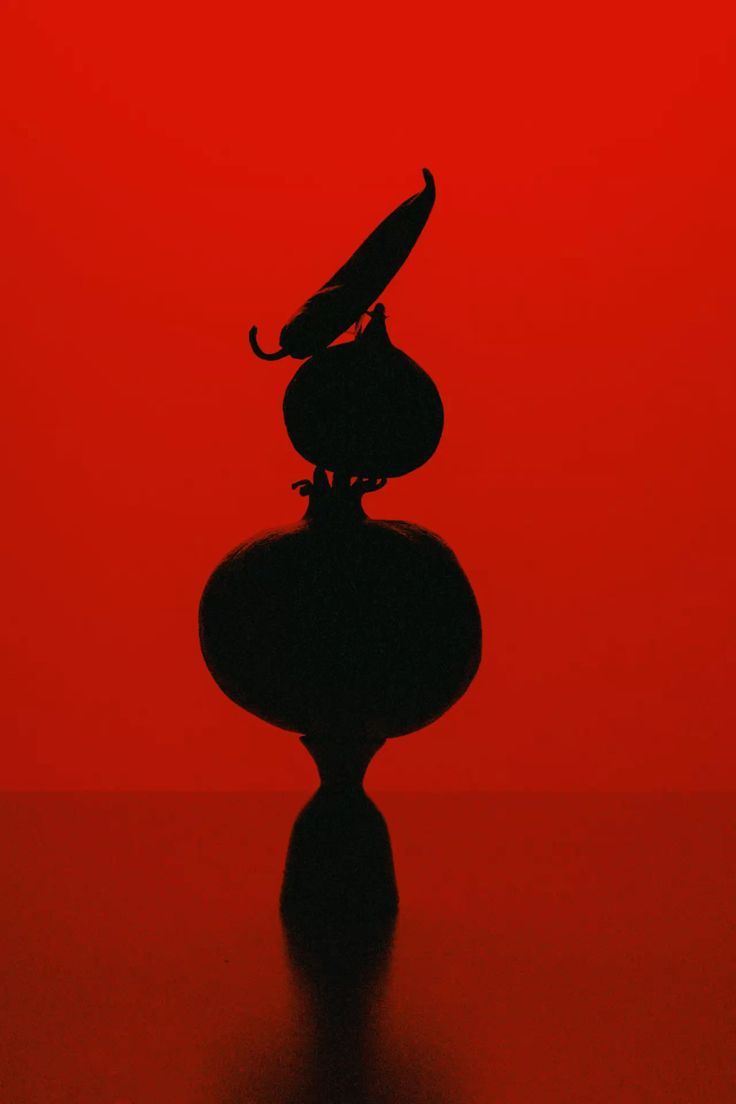 a black bird sitting on top of a rock