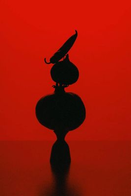 a black bird sitting on top of a rock