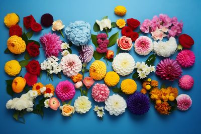 a bunch of different colored flowers on a blue background