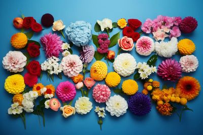 a bunch of different colored flowers on a blue background