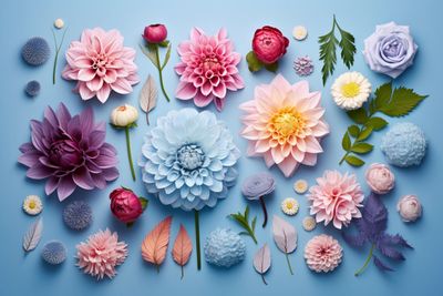 a bunch of different colored flowers on a blue background