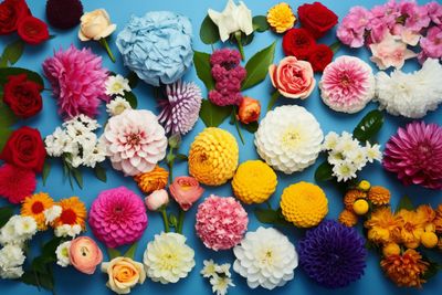 a bunch of different colored flowers on a blue background