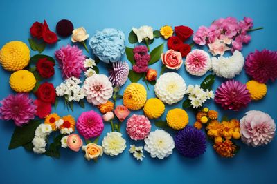 a bunch of different colored flowers on a blue background