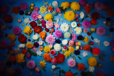 a bunch of different colored flowers on a blue surface