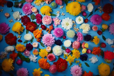 a bunch of different colored flowers on a blue surface