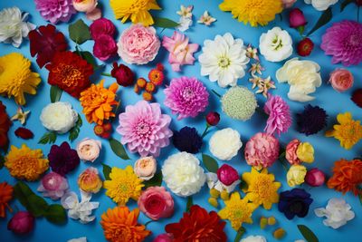 a bunch of different colored flowers on a blue surface