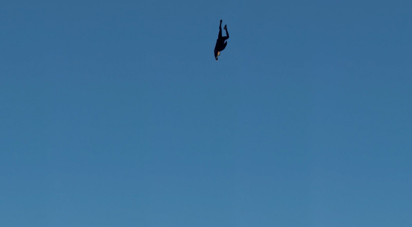 a bird flying high up in the sky