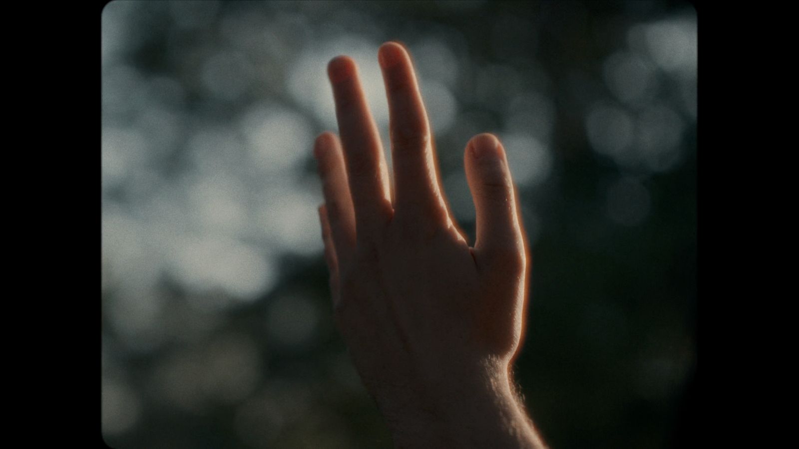 a person's hand reaching up into the air