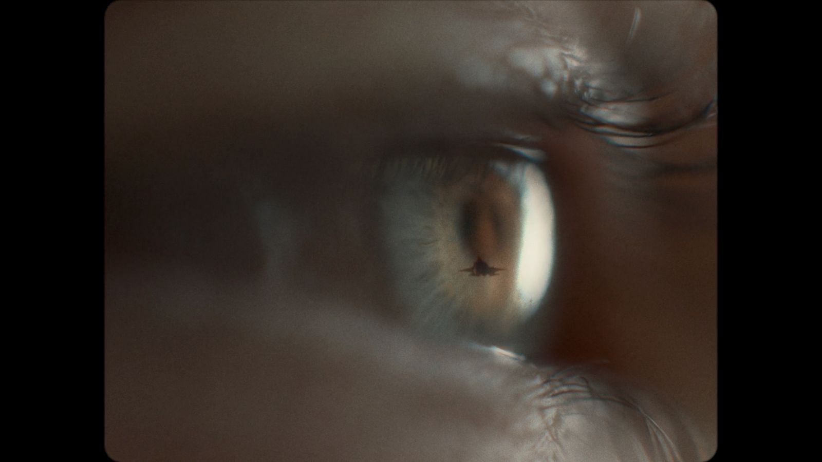 a close up of a person's eye with the reflection of a bird in