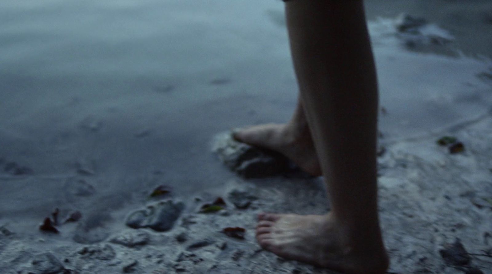 a person standing on a beach next to a body of water