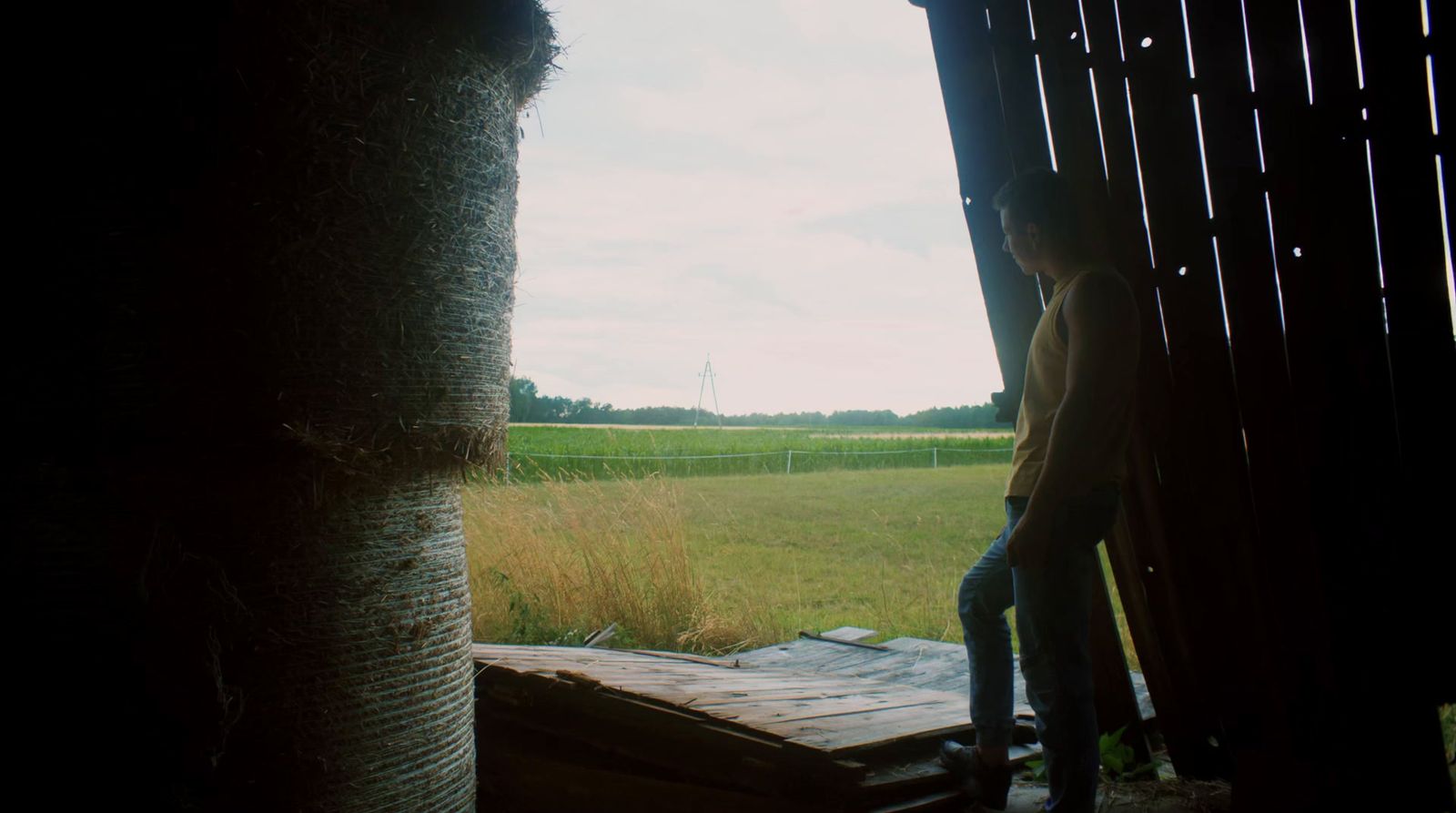 a man standing on a porch next to a tree