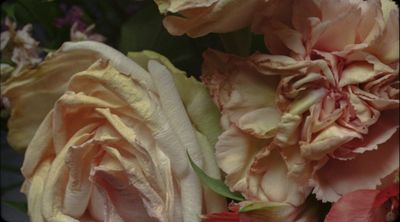 a close up of a bunch of flowers