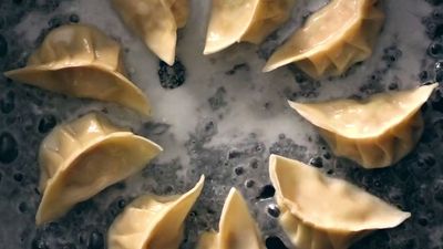 a group of dumplings sitting on top of a frying pan