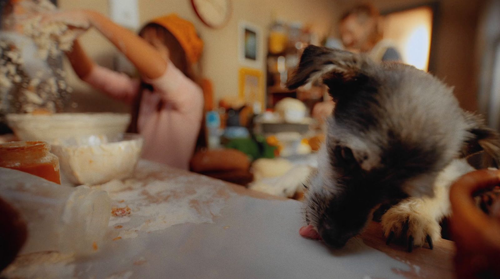 a cat is reaching for a piece of food on a table