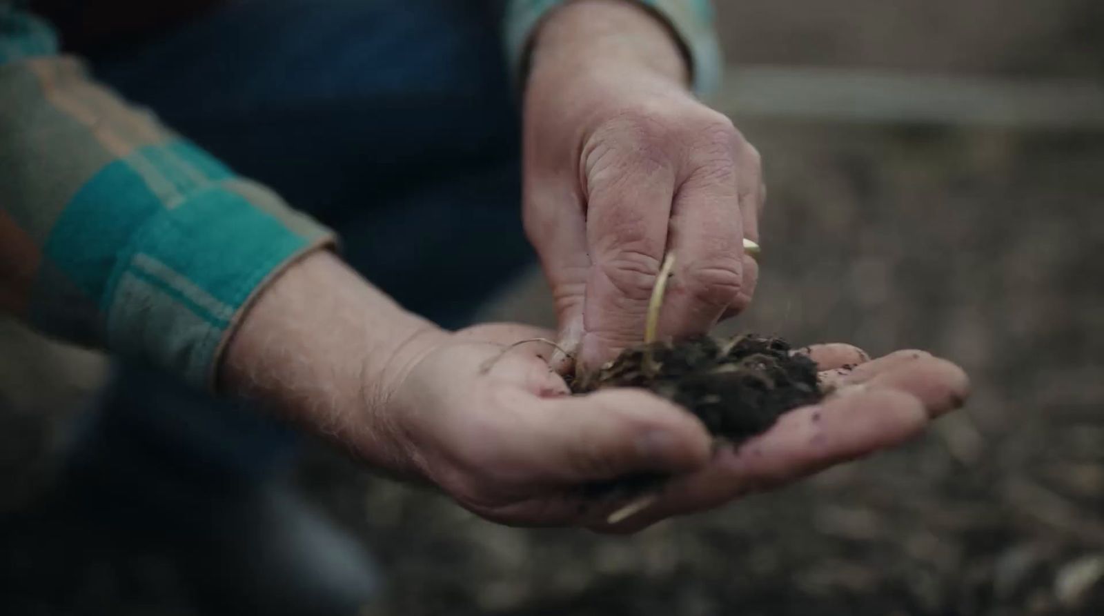 a person holding a handful of dirt in their hands