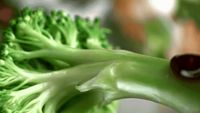 a close up of a piece of broccoli