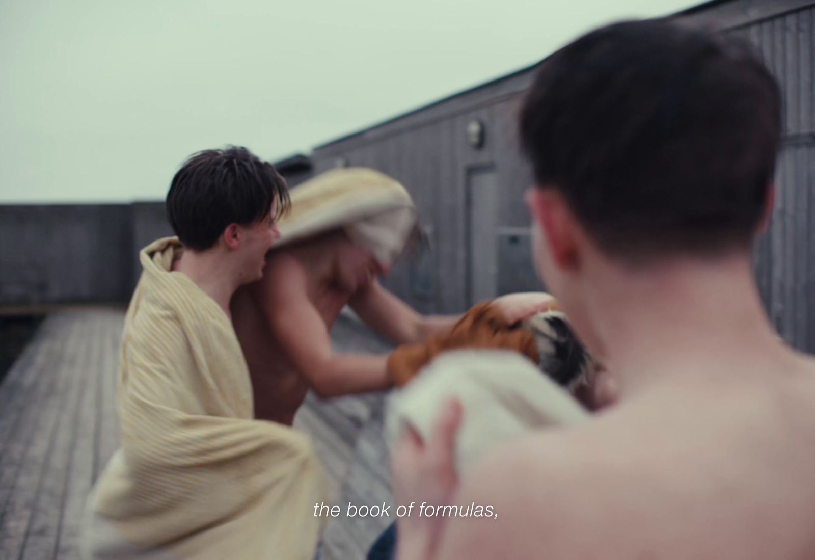 a man and a woman holding a dog on a dock