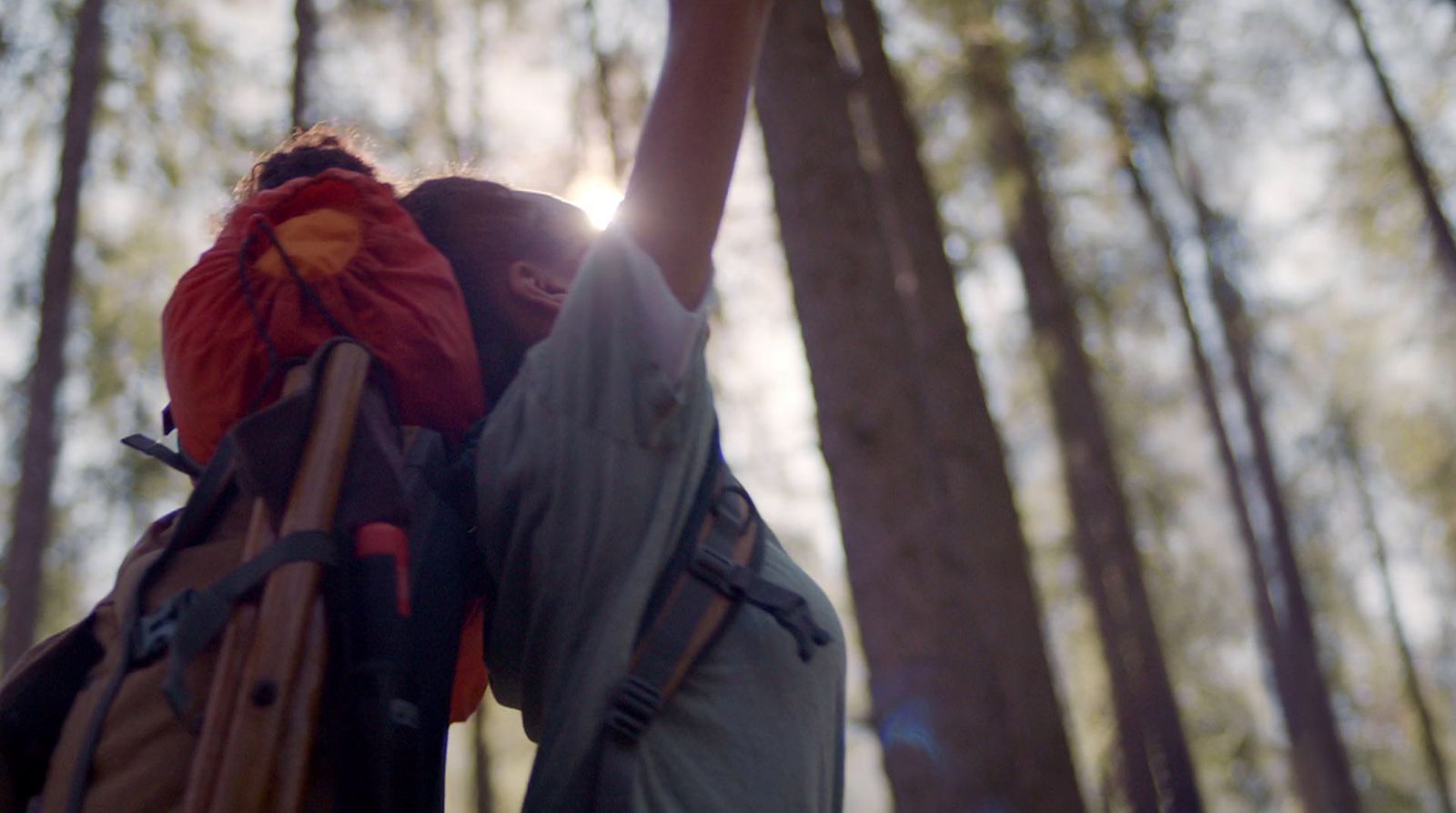 a person with a backpack in the woods