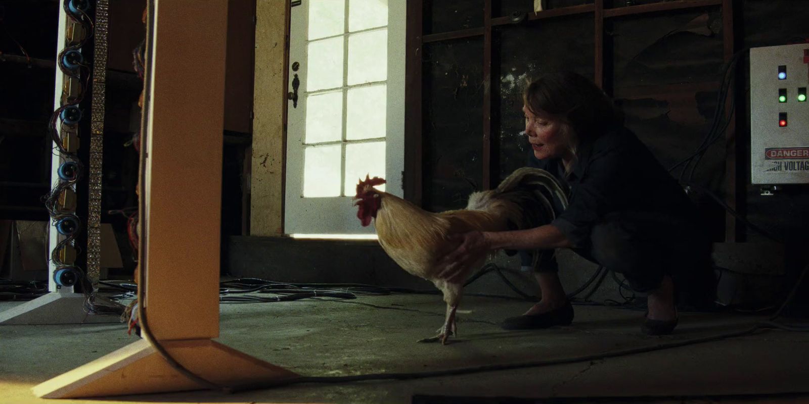 a woman kneeling down next to a chicken