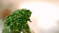 a close up of a piece of broccoli