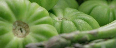 a close up of a bunch of green bananas