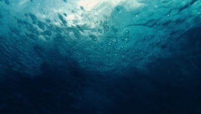 an underwater view of a body of water