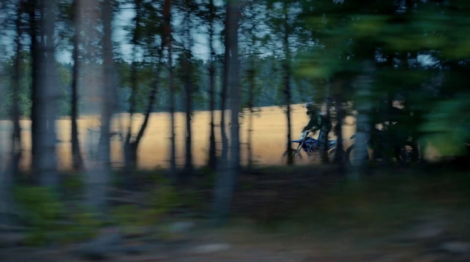 a blurry photo of a bike in the woods