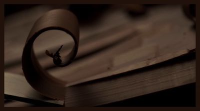 a close up of a book with a bird in the middle of it