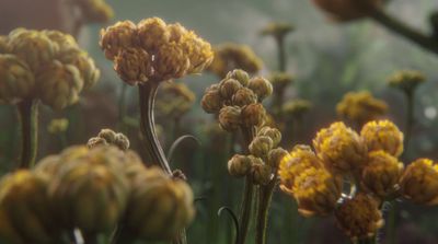 a bunch of yellow flowers in a field