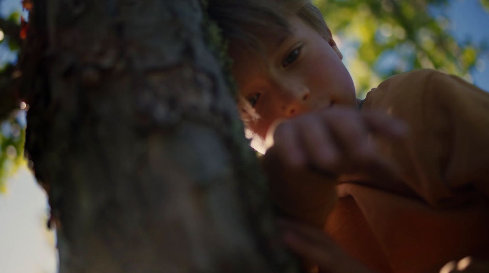 a young boy leaning up against a tree