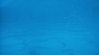 a person is swimming in the blue water