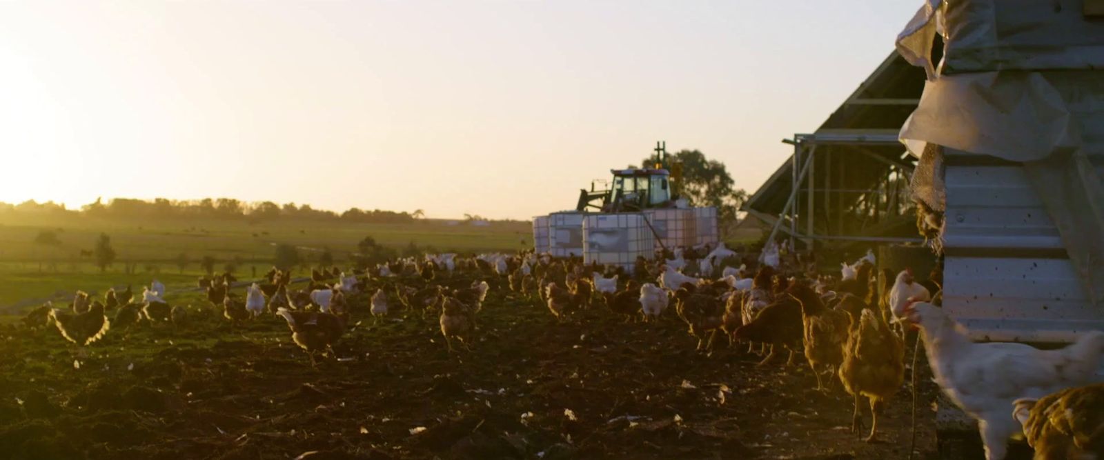 a large group of people in a field