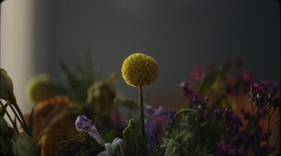 a close up of a yellow flower in a vase