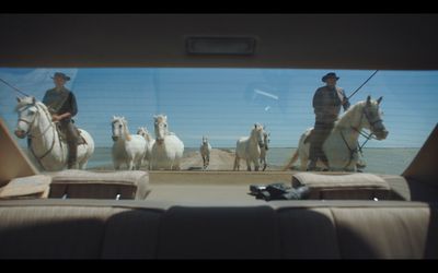 a group of men riding on the backs of white horses