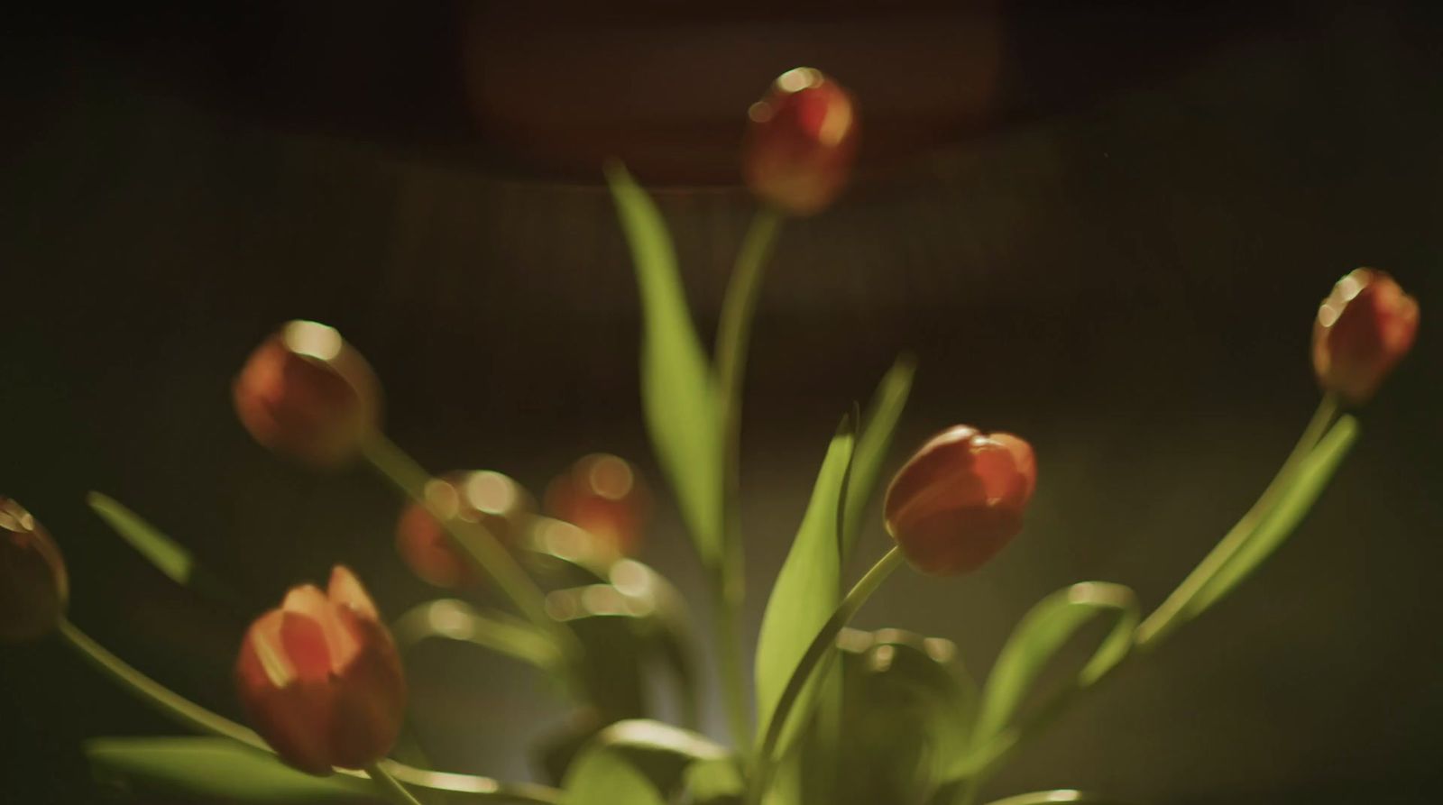 a vase filled with red flowers on top of a table