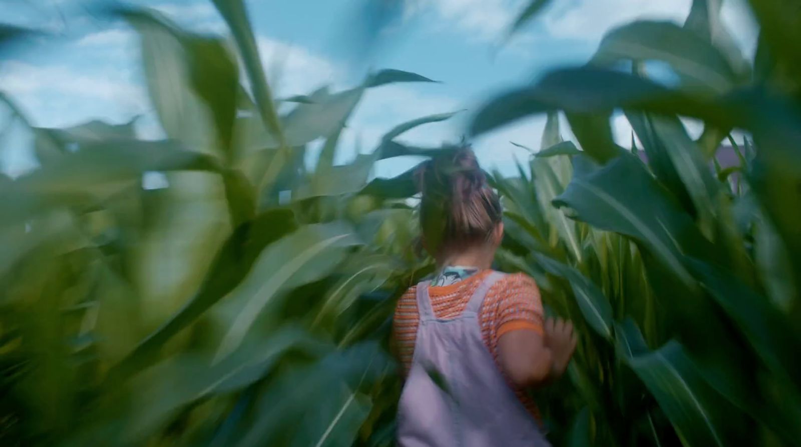 a blurry photo of a woman standing in a corn field