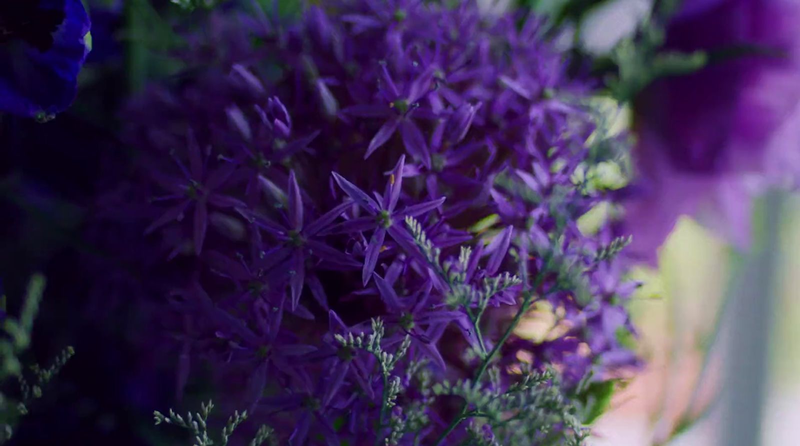 a close up of purple flowers in a vase