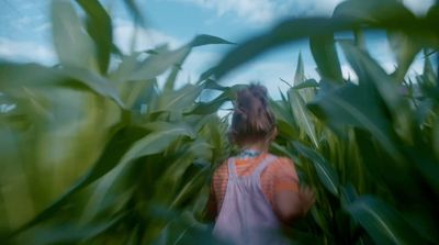 a person standing in a field of corn