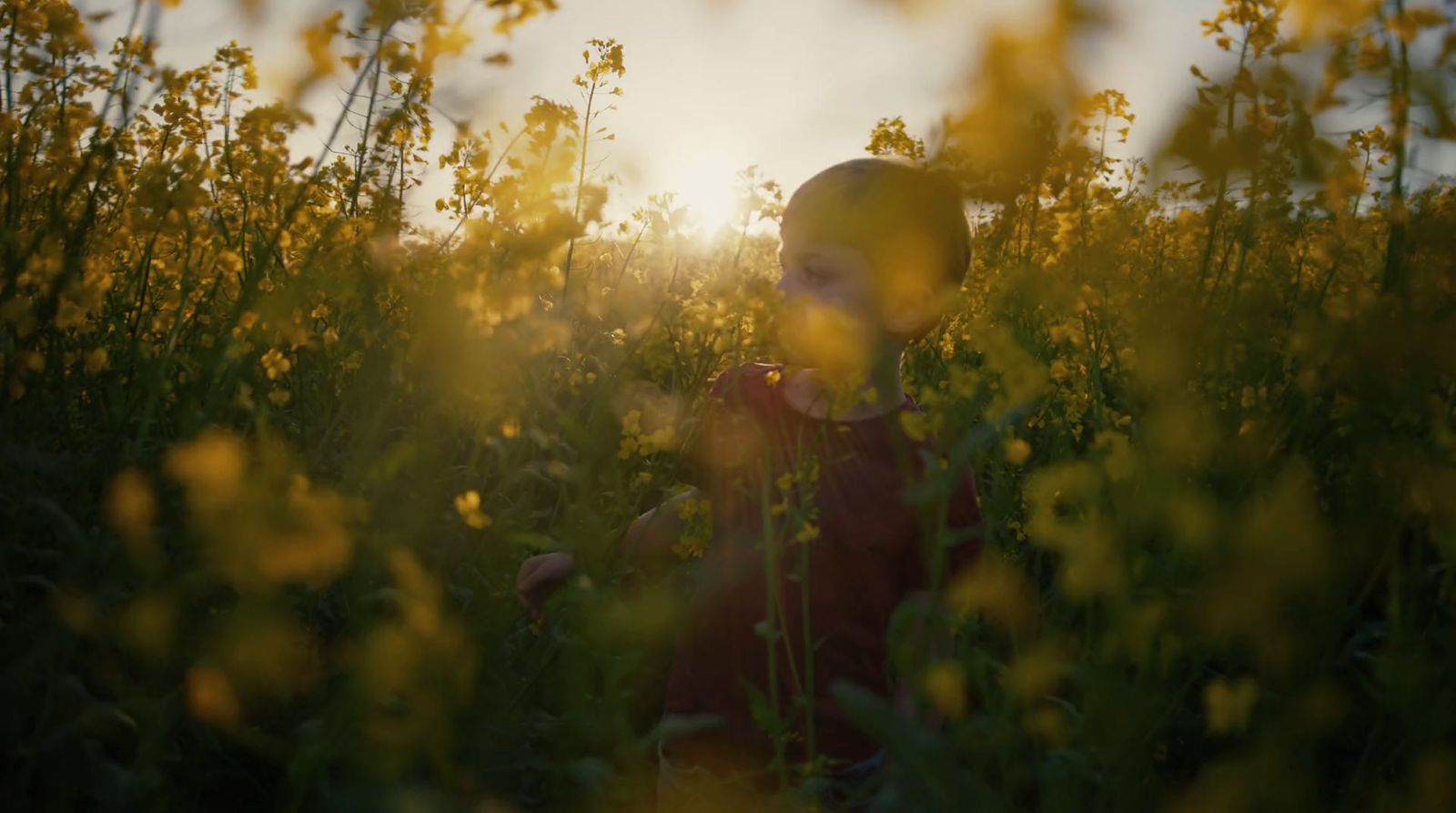 a little boy sitting in a field of tall grass