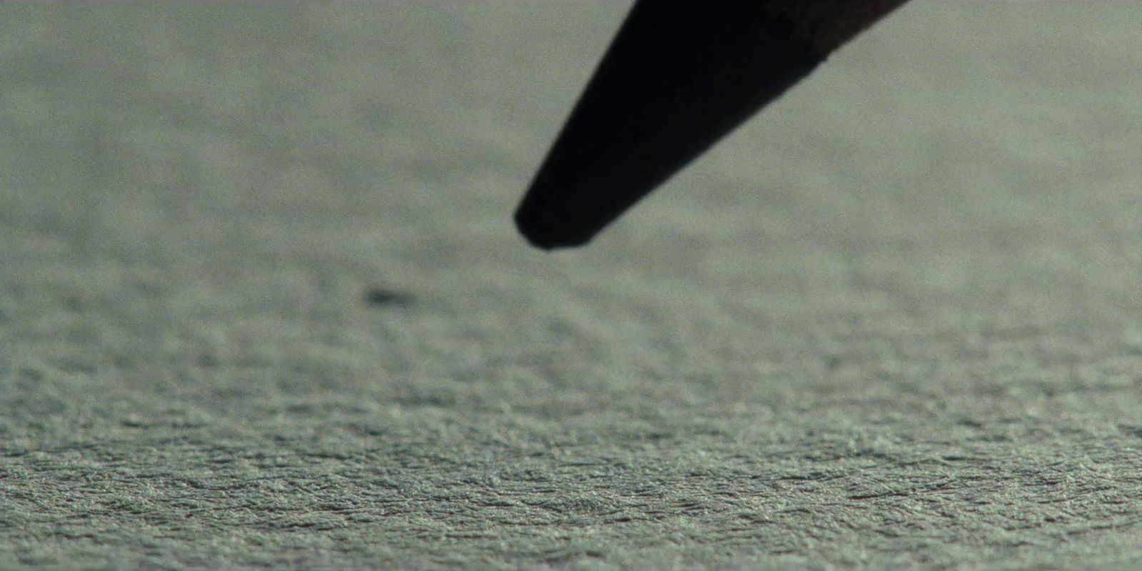 a close up of a bird's wing on the ground